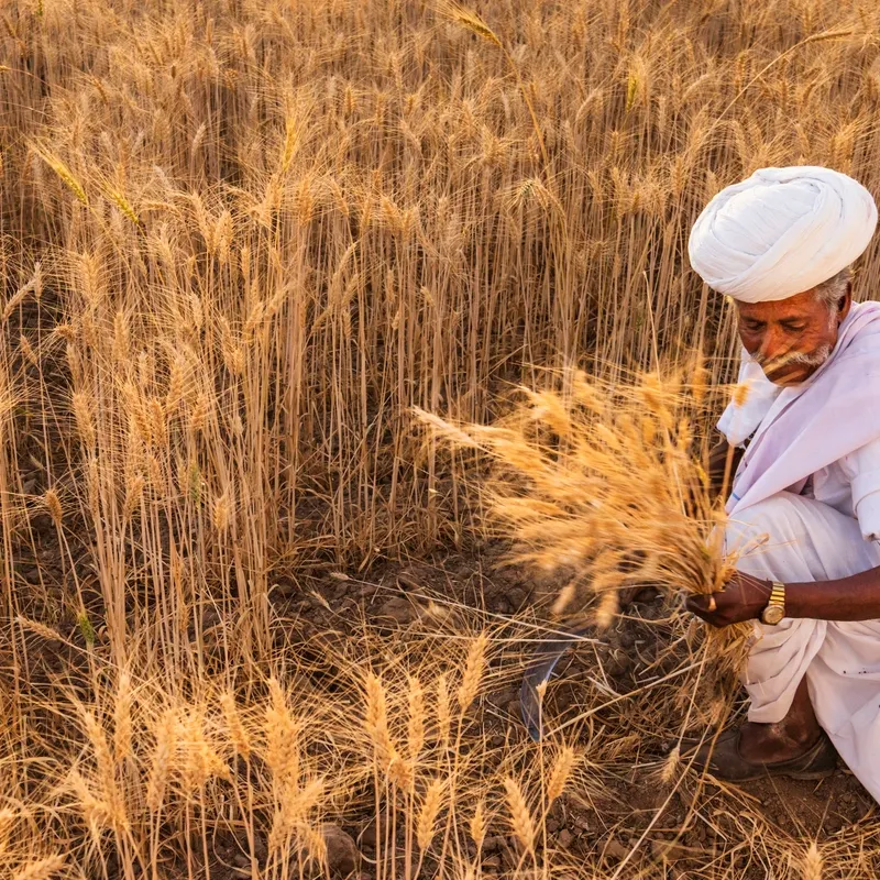 Senior farmer representing agricultural legacy